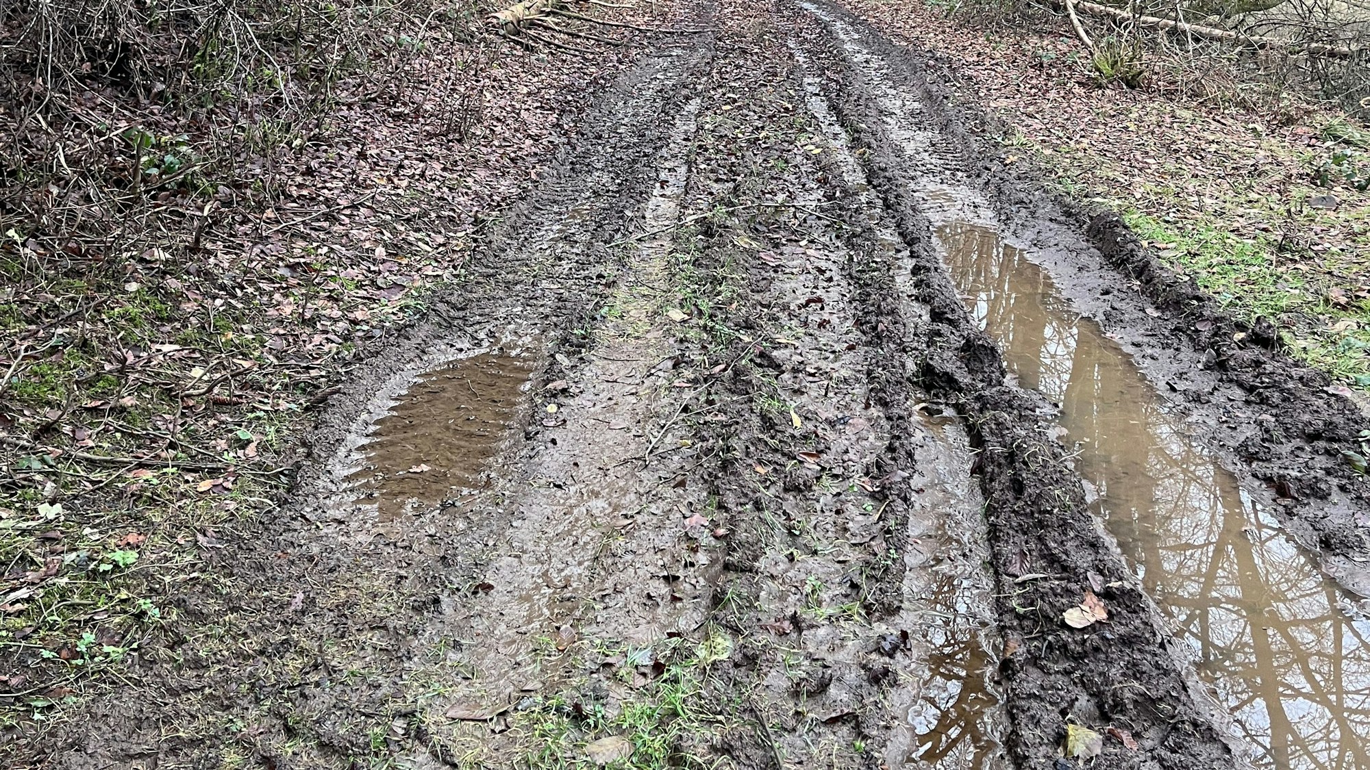 So wie dieser Weg sehen viele Wald- und Forstwirtschaftswege auf dem Gebiet der Stadt Waldbröl noch aus. Jetzt werden sie aber neu angelegt.