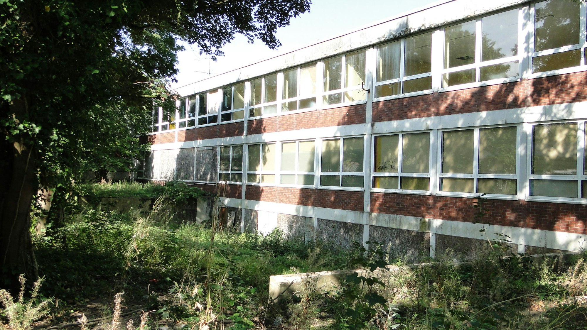 Blick auf ein dreigeschossiges Schulgebäude mit Sträuchern davor