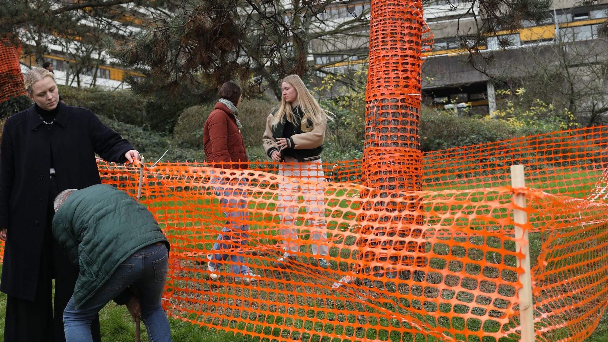 Studierende umwickeln Bäume mit orangen Gitter-Markierungen.