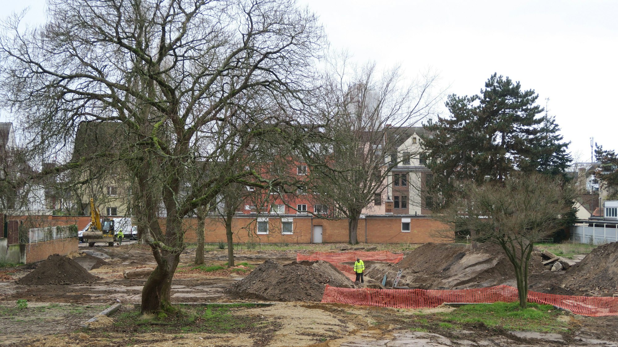 Ein freies Grundstück ist zu sehen, mit drei Bäumen.