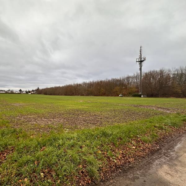 Blick auf ein Feld, links davon sind Häuser zu sehen, hinter einer Baumreihe liegt die Autobahn 555.
