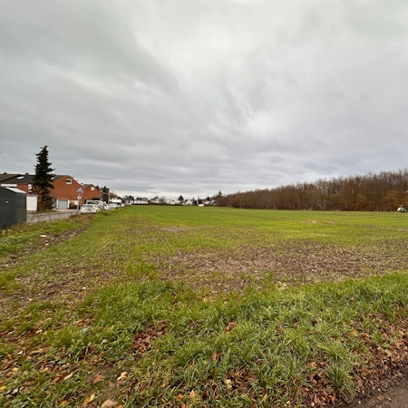 Blick auf ein Feld, links davon sind Häuser zu sehen, hinter einer Baumreihe liegt die Autobahn 555.