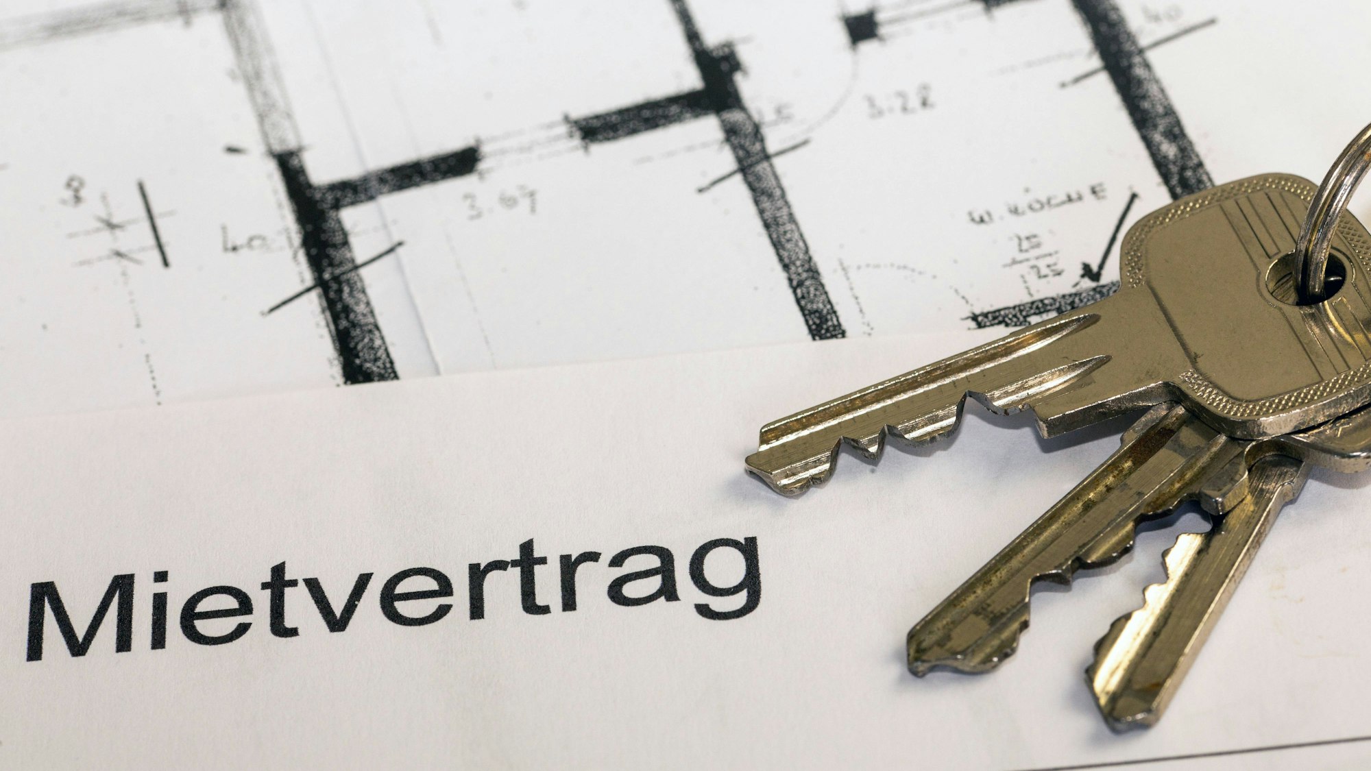 Symbolbild: Nahaufnahme von einem Haustürschlüssel auf einem Blankoformular für einen Mietvertrag *** Symbol image close up of a front door key on a blank form for a rental agreement Copyright: xx