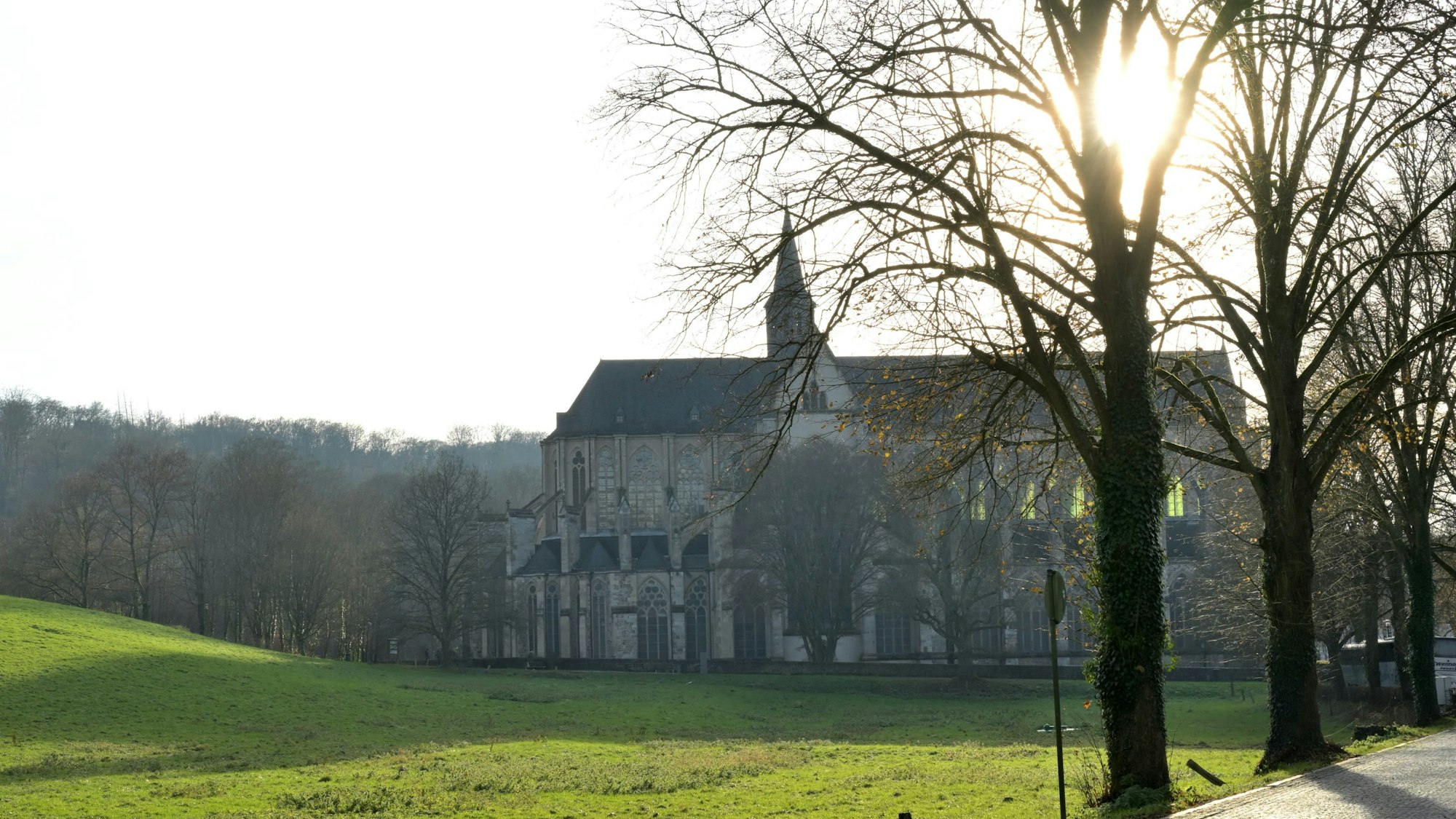 Blick über eine Wiese auf den Altenberger Dom in der Abendsonne