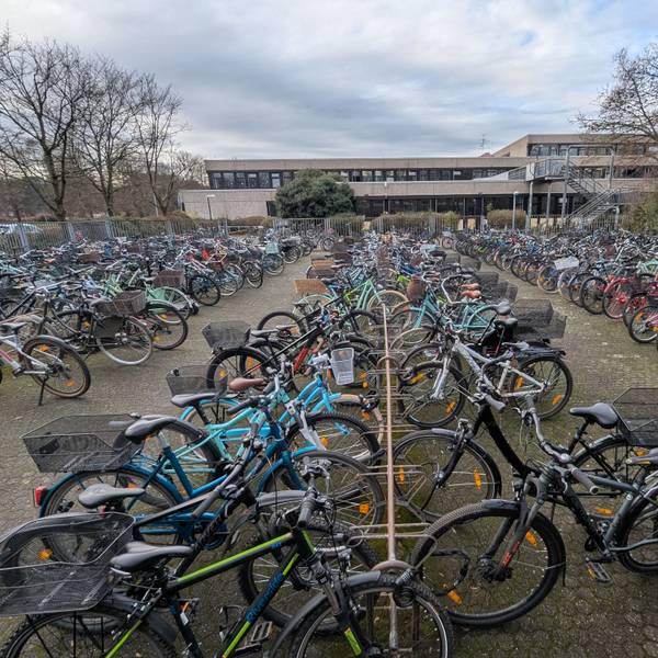 Das Foto zeigt die Fahrradabstellanlage vor dem Schulgebäude.