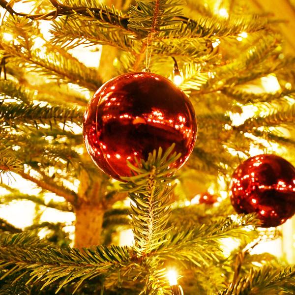 Weihnachtsbeleuchtung und beleuchtete Weihnachtsbäume im Stadtbild.
