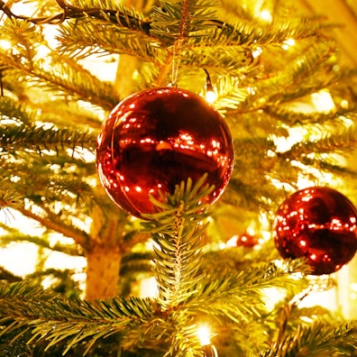 Weihnachtsbeleuchtung und beleuchtete Weihnachtsbäume im Stadtbild.