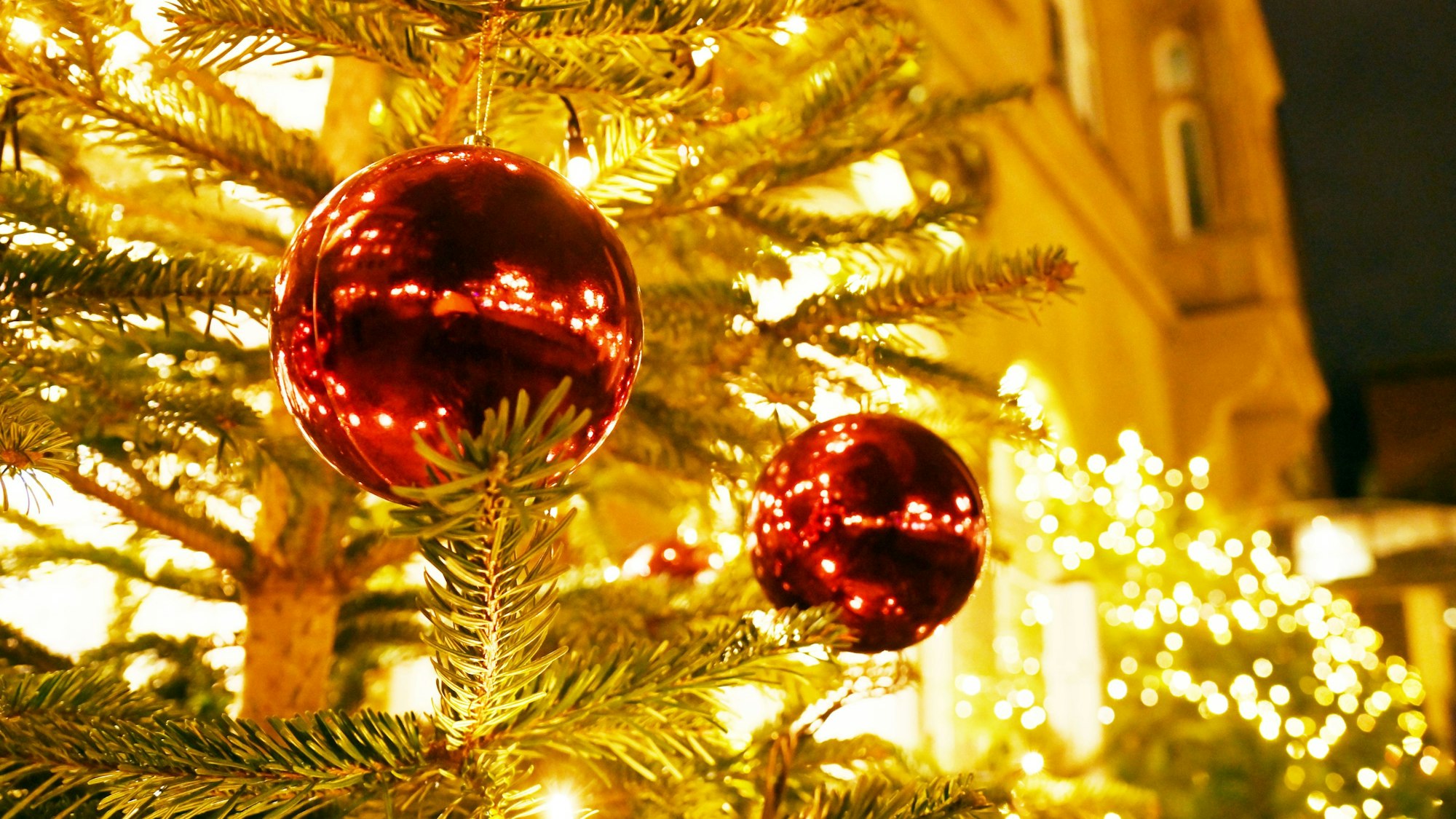 Weihnachtsbeleuchtung und beleuchtete Weihnachtsbäume im Stadtbild.