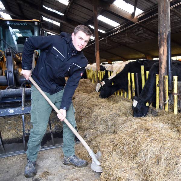 Junglandwirt Harm Breidenassel bei der Arbeit auf dem Hof Haus Ley in Engelskirchen Bellingroth.