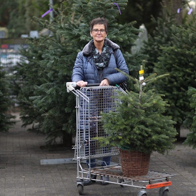 Dorothea Breuckmann schiebt einen Einkaufswagen mit einer kleinen Tanne im Topf.