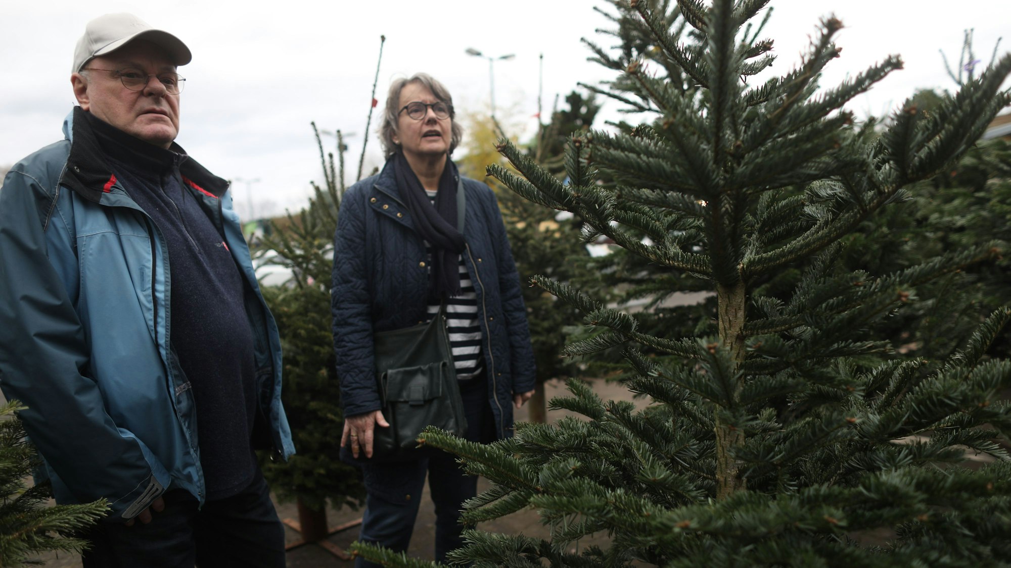 Josef und Ulrike Gieling stehen zwischen Weihnachtsbäumen.