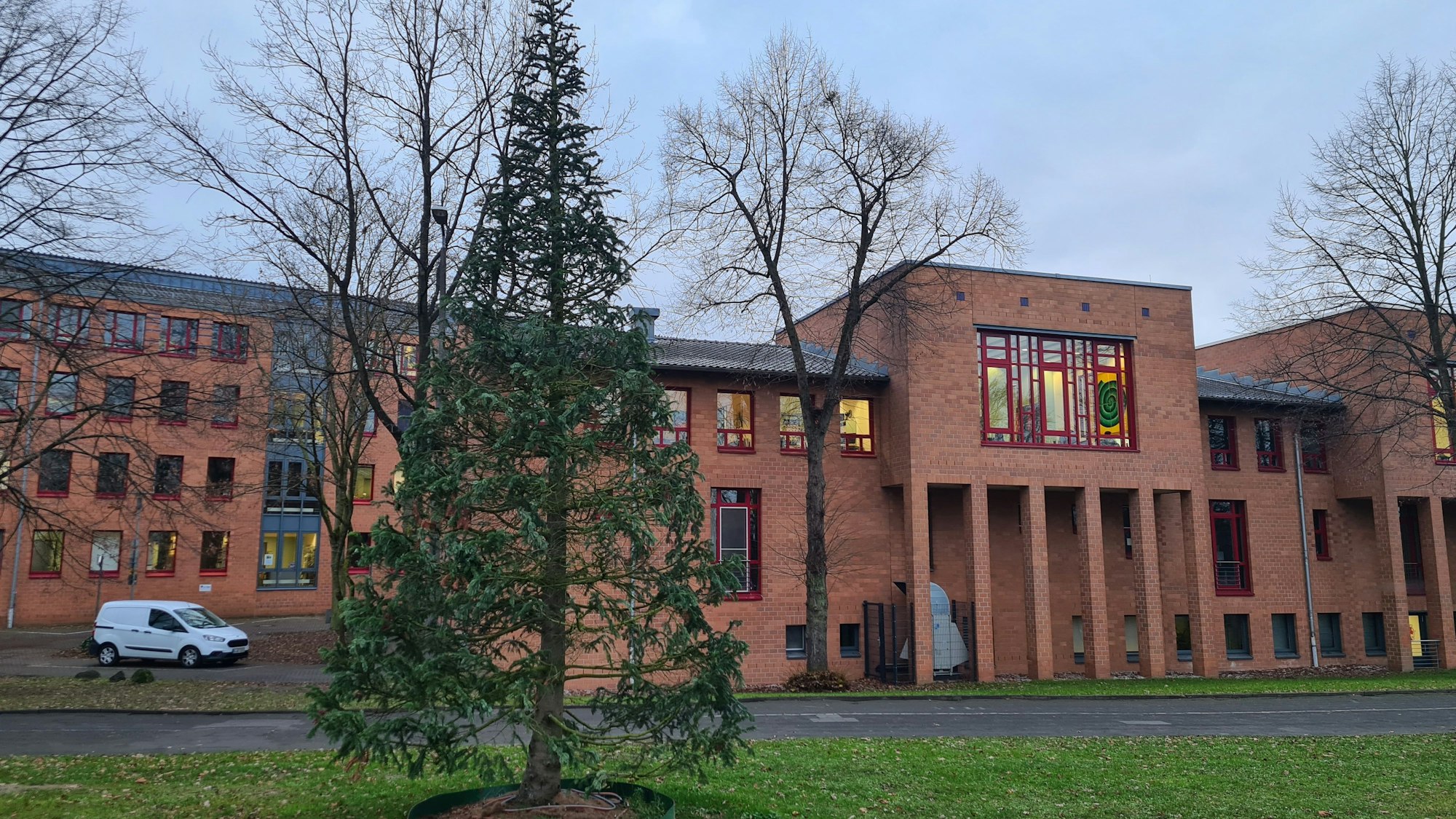 Eine Tanne steht vor dem Bergheimer Kreishaus.