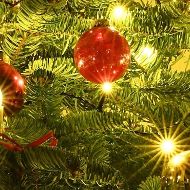 Rote Kugeln und elektrische Kerzen schmücken einen Weihnachtsbaum.