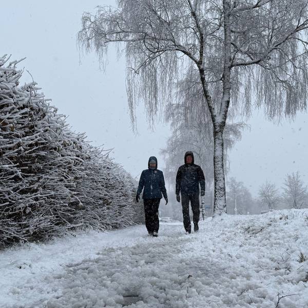 Zwei Spaziergänger im Schnee.