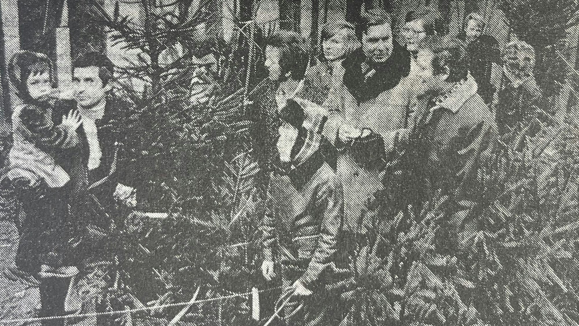 Ein paar hundert Fichten wurden in der Berstig vor dem Weihnachtsfest 1974 bei einer Veranstaltung des Gummersbacher Bürgervereins geschlagen.