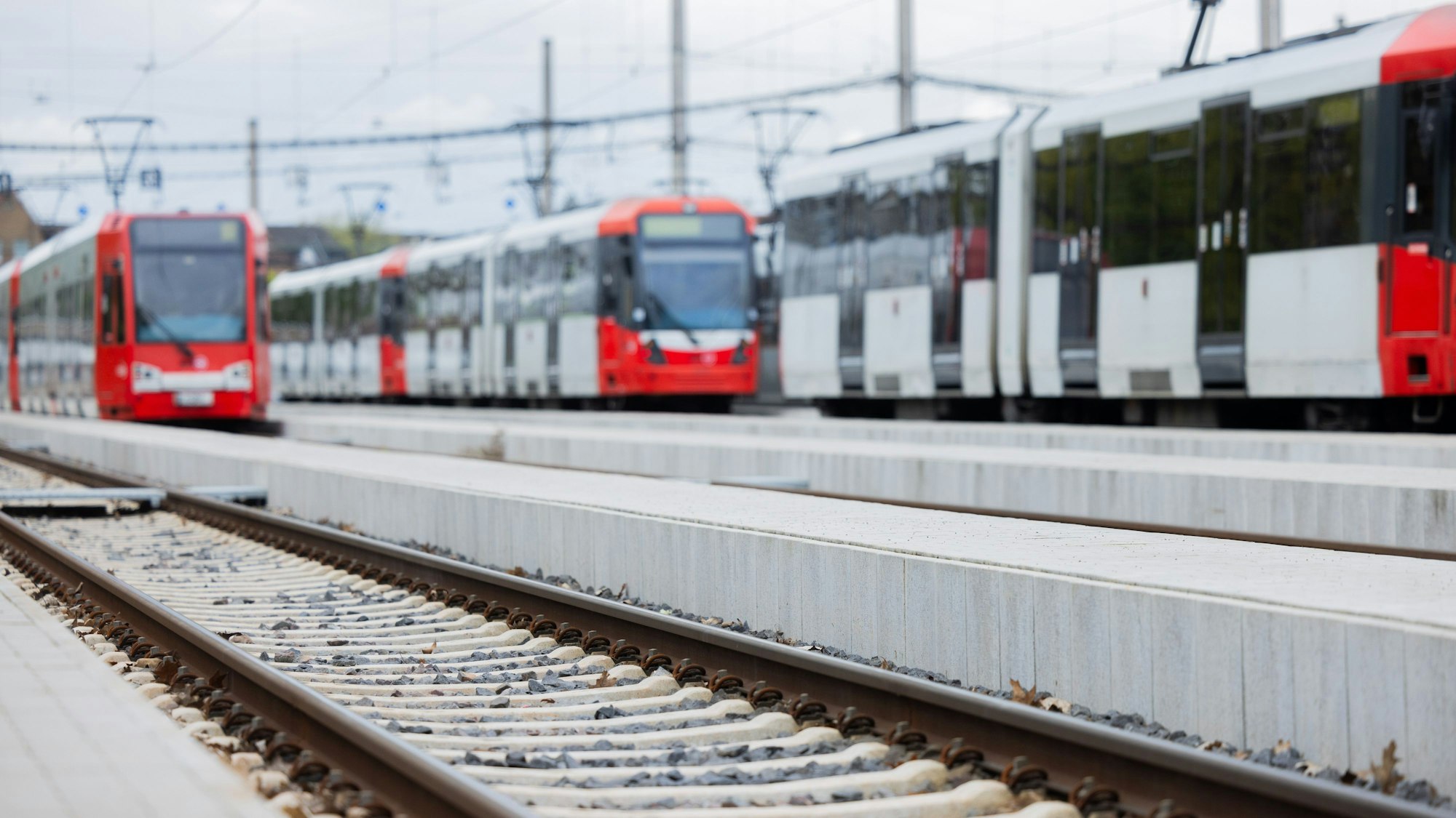 Straßenbahnen der Kölner Verkehrs-Betriebe (KVB) sollen mit zusätzlichem Nachtverkehr und zusätzlichen Linien verstärkt werden. (Symbolbild)