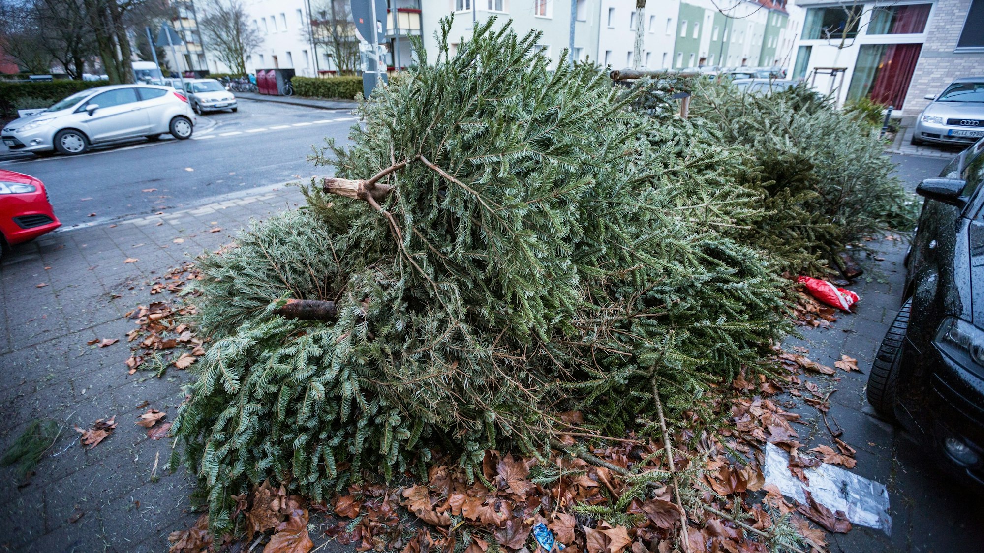 Köln, 21.01.2018: Gebrauchte Weihnachtsbäume liegen zur Entsorgung am Straßenrand. Nach den Feiertagen holen die Abfallwirtschaftsbetriebe Köln (AWB) die alten Tannenbäume ab.  Foto: Matthias Heinekamp - Entsorgung, Müll, Muell, Weihnachtsbaum, Tannenbaum, Christbaum, Weihnachten, Müllabfuhr, Müllentsorgung, weggeworfen