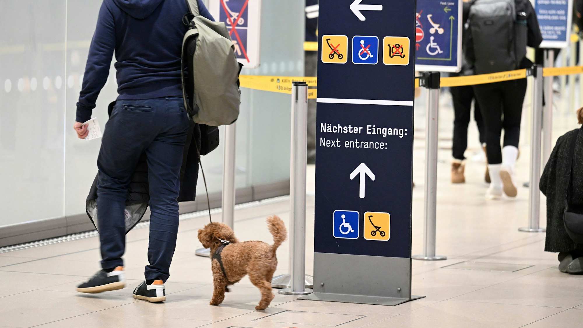 Hunde sind am Flughafen Köln/Bonn grundsätzlich erlaubt