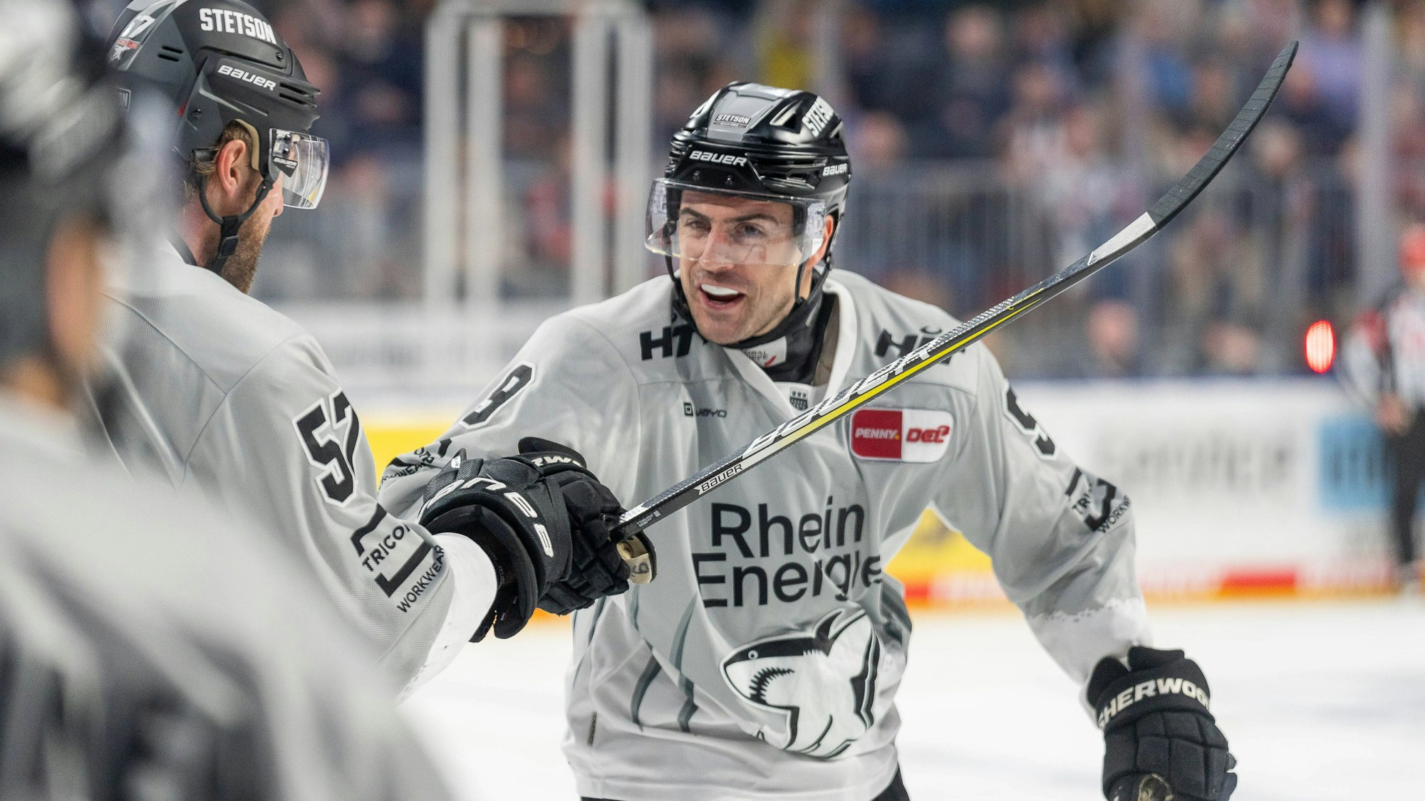 3:1 fuer Koeln durch Kammerer, Maximilian Koelner Haie, 9, GER, Adler Mannheim vs Koelner Haie, Deutsche Eishockey Liga, 31. Spieltag, Saison 2024/2025, 28.12.2024 GER, Adler Mannheim vs Koelner Haie, Deutsche Eishockey Liga, 31. Spieltag, Saison 2024/2025, 28.12.2024 Mannheim *** 3 1 for Cologne by Kammerer, Maximilian Koelner Haie, 9 , GER, Adler Mannheim vs Koelner Haie, Deutsche Eishockey Liga, 31 Spieltag, Saison 2024 2025, 28 12 2024 GER, Adler Mannheim vs Koelner Haie, Deutsche Eishockey Liga, 31 Spieltag, Saison 2024 2025, 28 12 2024 Mannheim Copyright: xEibner-Pressefoto/StefanxMayerx EP_SMR