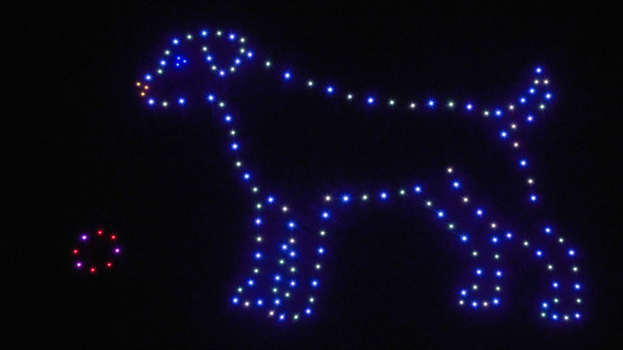 Leuchtende Drohnen fliegen bei einer Show der Deutschen Umwelthilfe und formen dabei am Himmel einen Hund. (Archivbild)