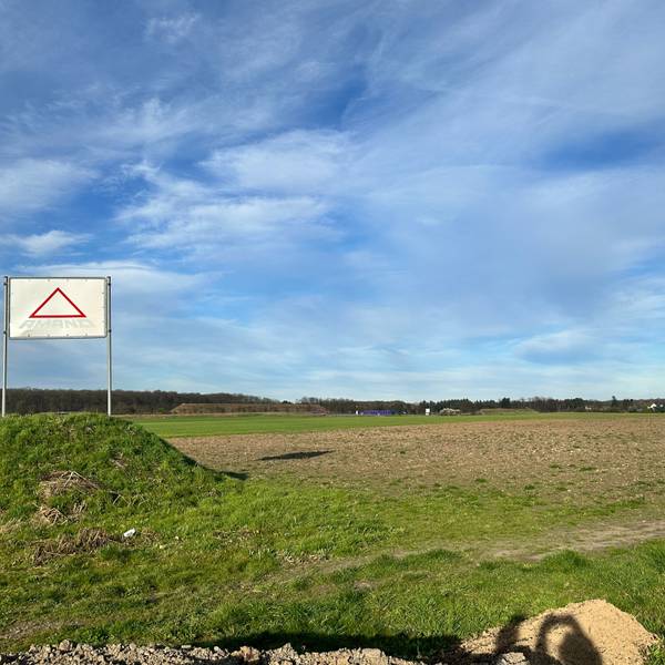 Ein grün-braunes Feld und blauer Himmel.