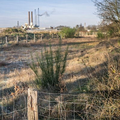 Die Heidelandschaft im Kurtekotten. Foto: Ralf Krieger