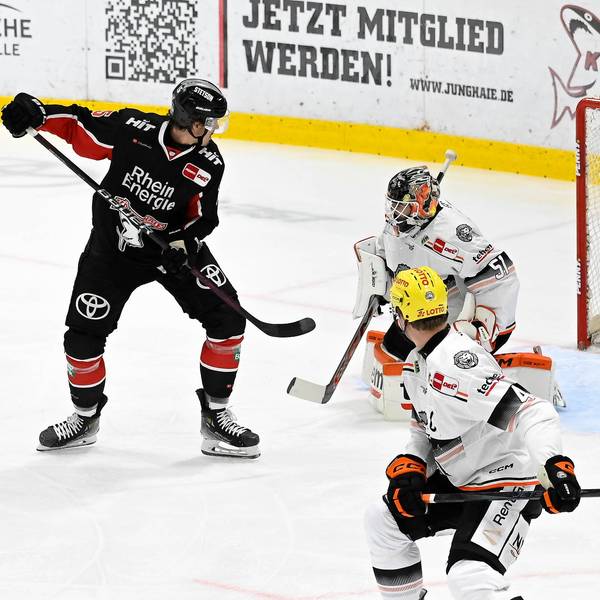 Die Kölner Haie gewinnen das letzte Spiel des Jahres gegen Frankfurt (Archivbild).