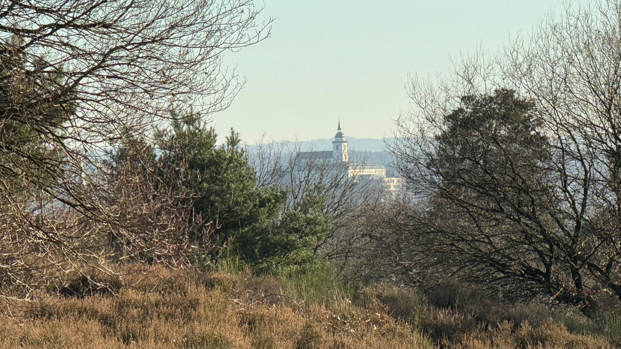Tolle Fernsicht aus der Heide auf die Siegburger Abtei.
