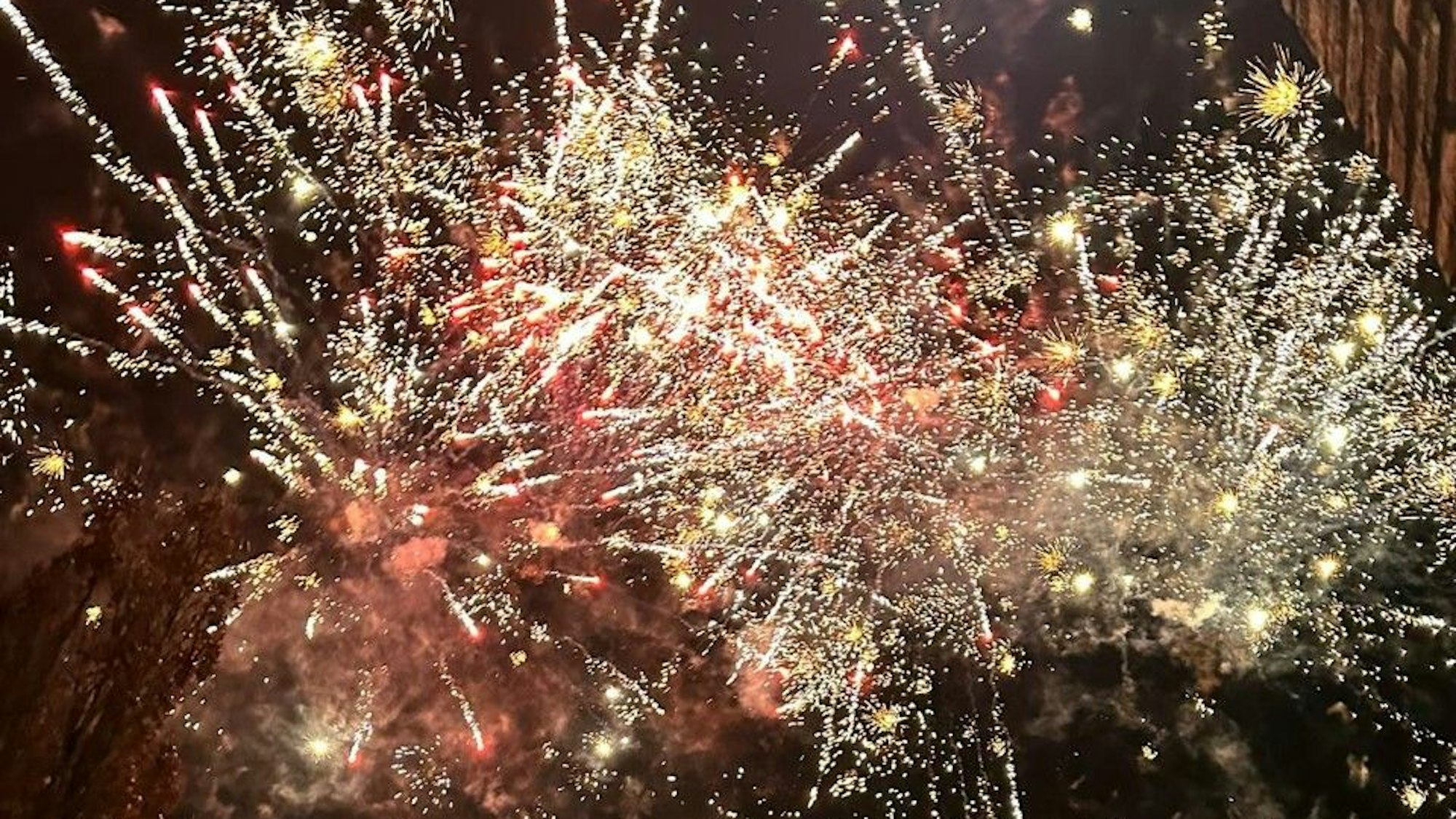 Das Bild zeigt ein Feuerwerk.