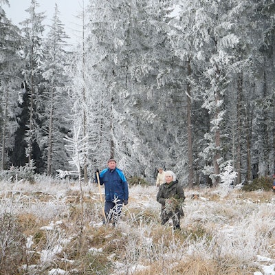 Im leicht verschneiten Wald und einer Lichtung davor sieht man Menschen mit Arbeitsgeräten wie Spaten.