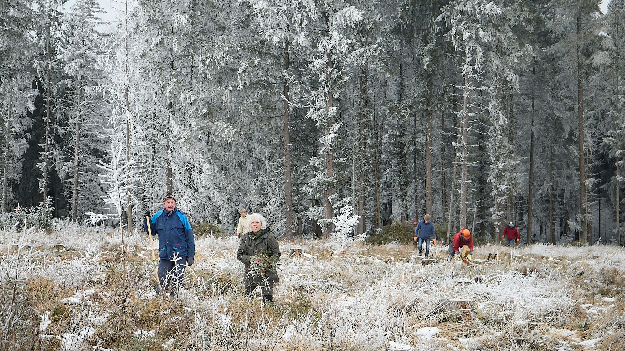 Im leicht verschneiten Wald und einer Lichtung davor sieht man Menschen mit Arbeitsgeräten wie Spaten.