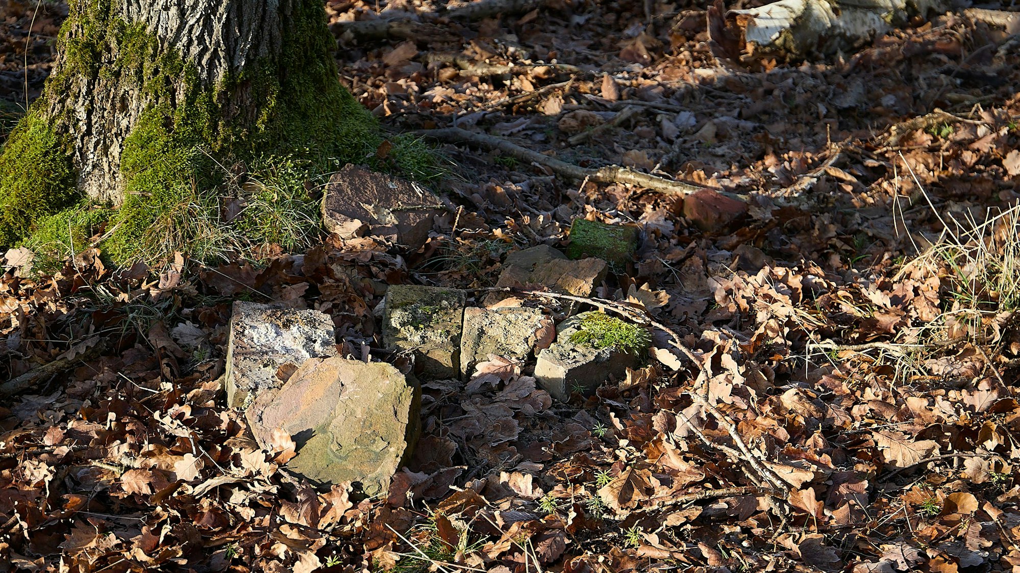 Auf dem Waldboden sind man rotes Gestein, Überreste der Sprengung des Langen Emils.