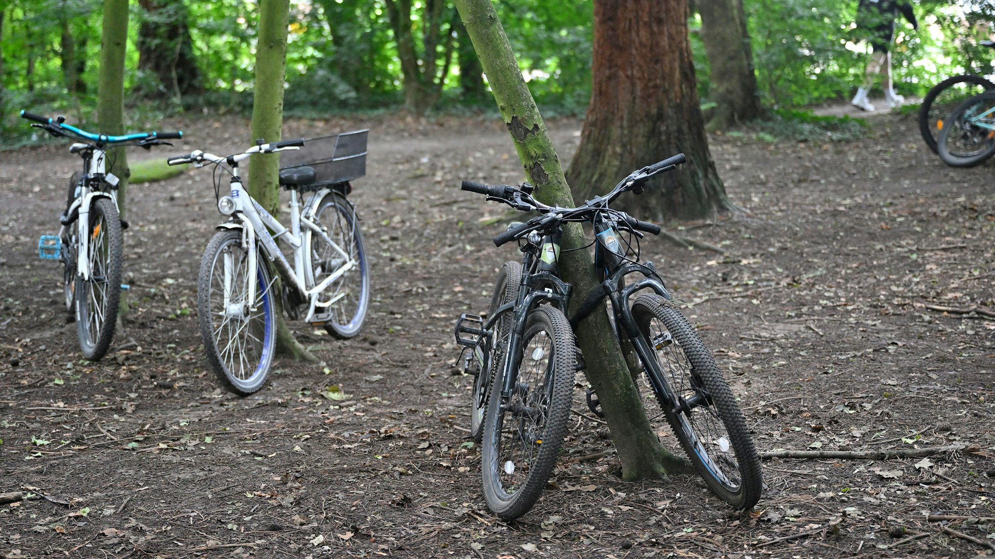 Die Rad-Parkplatz-Not am Rösrather Freiherr-vom-Stein-Schulzentrum, deren Folge ein „Fahrradwald“ mit Baumstämmen als Fahrradständer war (Foto), ließ sich Ende 2024 beheben.