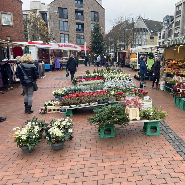 Stände auf dem Pulheimer Wochenmarkt, vorne im Bild sind Pflanzen zu sehen.