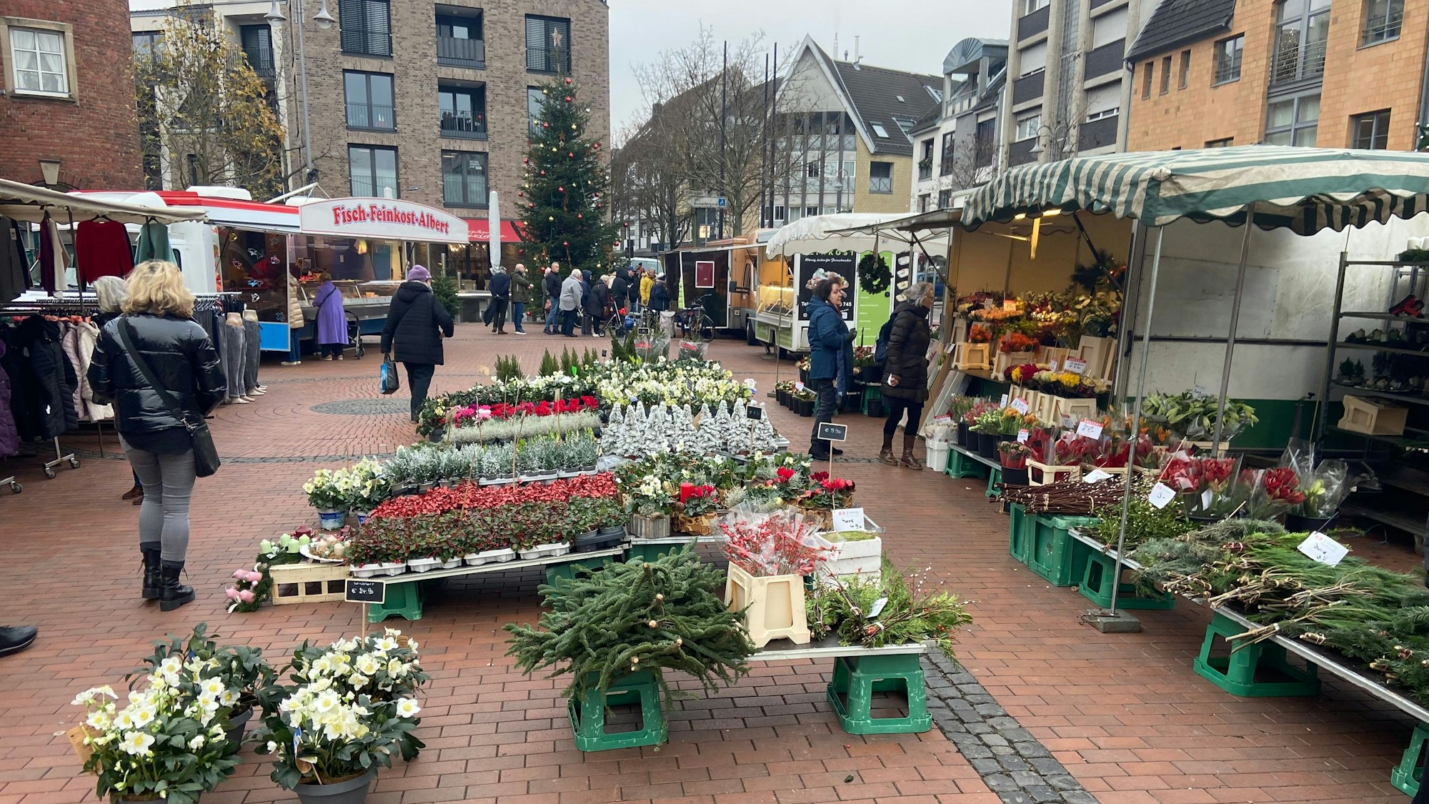 Stände auf dem Pulheimer Wochenmarkt, vorne im Bild sind Pflanzen zu sehen.