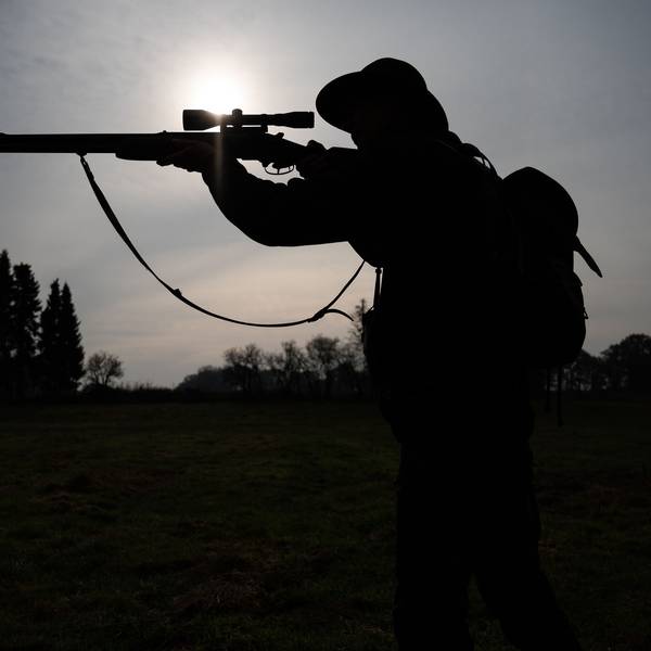 Eine Jägerin steht mit ihrer Bockbüchsflinte auf einer Wiese. (Symbolbild)