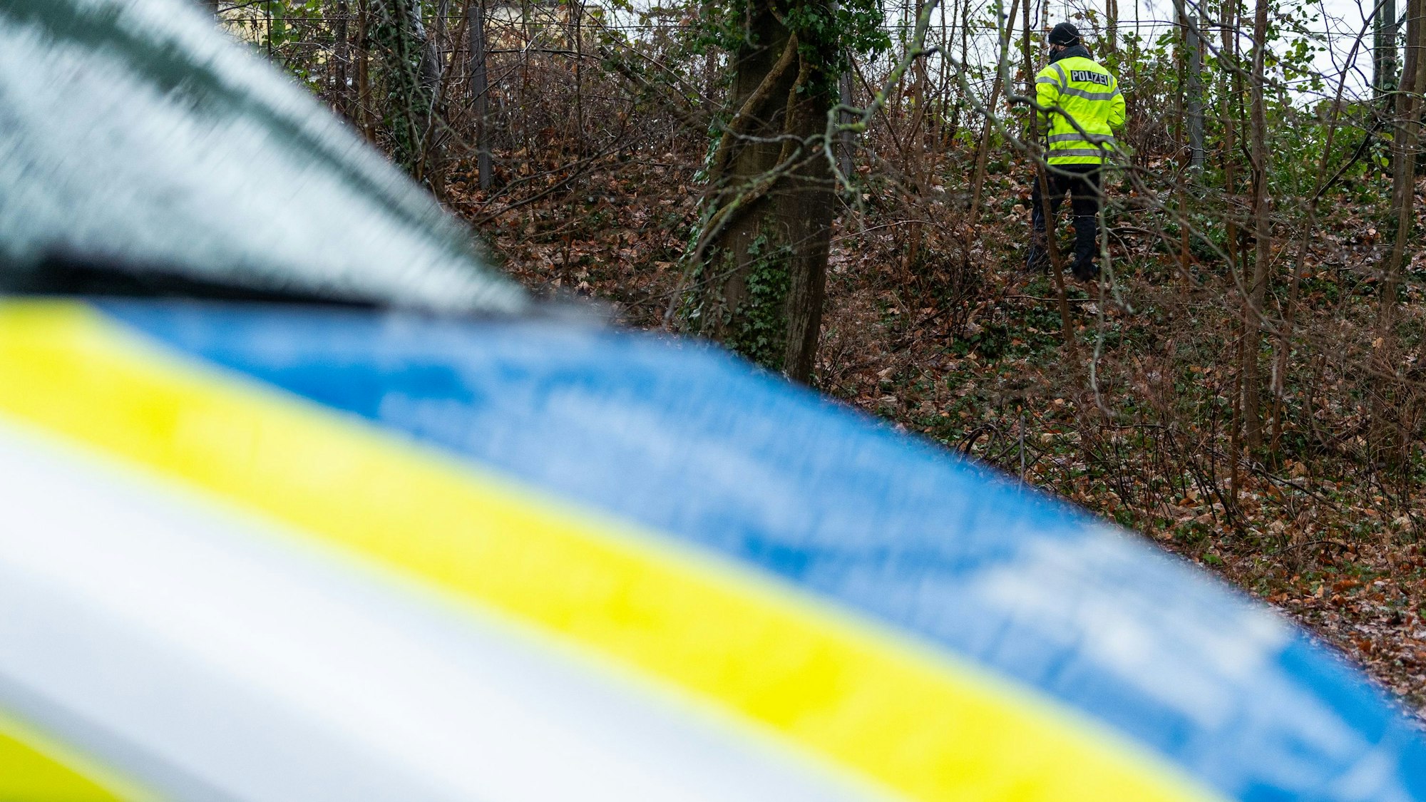 Ein Polizist sucht in einem Waldstück.