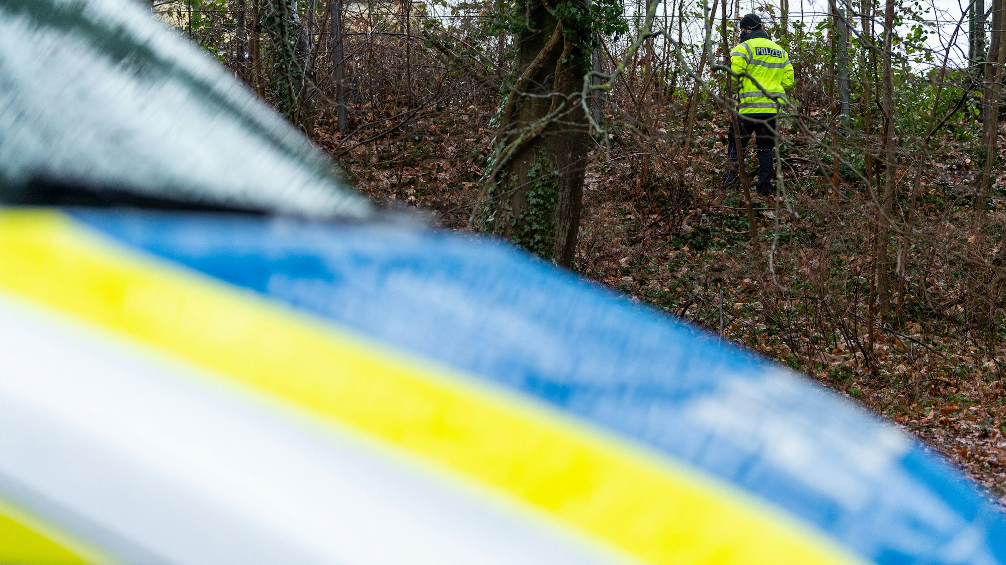 Ein Polizist sucht mit einer Taschenlampe in einem Waldstück. (Symbolbild)