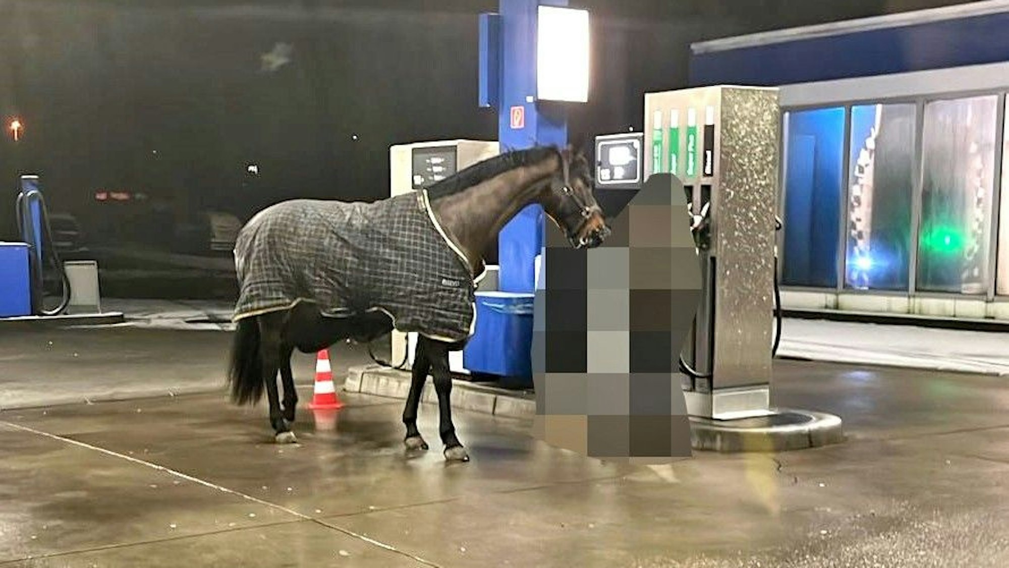 Als die Beamten vor Ort eintrafen, stand das Pferd an einer der Zapfsäulen der Tankstelle in Kierspe.