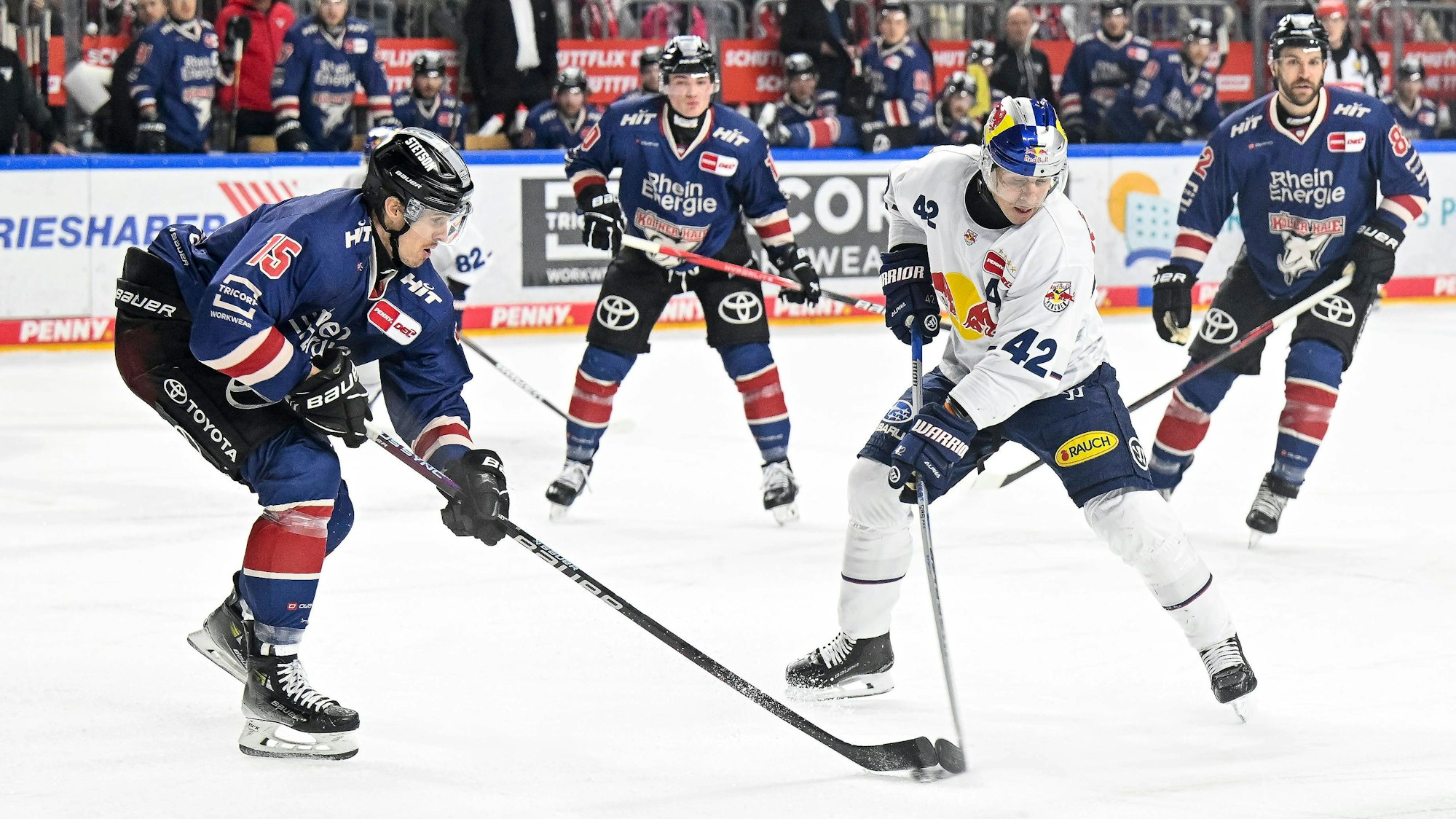 Eishockey DEL - 24/25 - 19. Spieltag: Kölner Haie vs EHC Red Bull München am 03.01.2025in der LANXESS arena in Köln Kölns Louis-Marc Aubry Nr.15 gegen Münchens Yasin Ehliz Nr.42 *** Ice Hockey DEL 24 25 19 Matchday Cologne Sharks vs EHC Red Bull Munich on 03 01 2025in the LANXESS arena in Cologne Louis Marc Aubry Nr 15 vs Munichs Yasin Ehliz Nr 42 WD