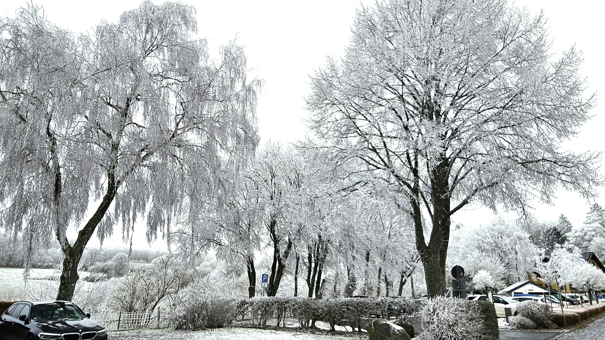 Schnee bedeckt den Boden und vor allem die Bäume in der Gemeinde Dahlem in der Eifel.