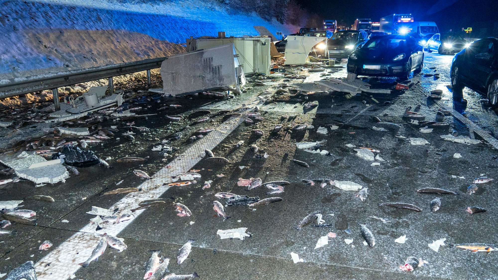Tote Forellen liegen nach dem Unfall auf der Autobahn.
