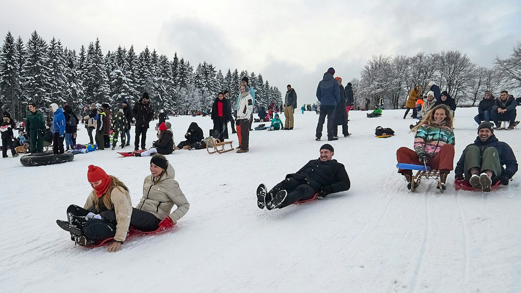 Zahlreiche Rodler fahren den Hang hinab.
