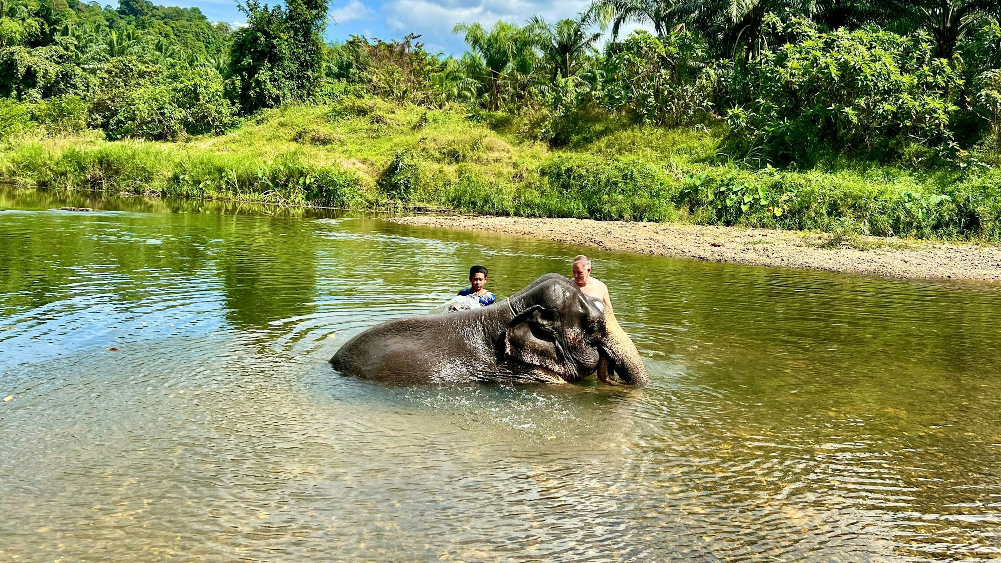 Ein Tourist und ein Mahout waschen in einem Elefantencamp im Süden von Thailand einen Elefanten in einem Fluss in der Nähe von Takua Pa. (Symbolbild)