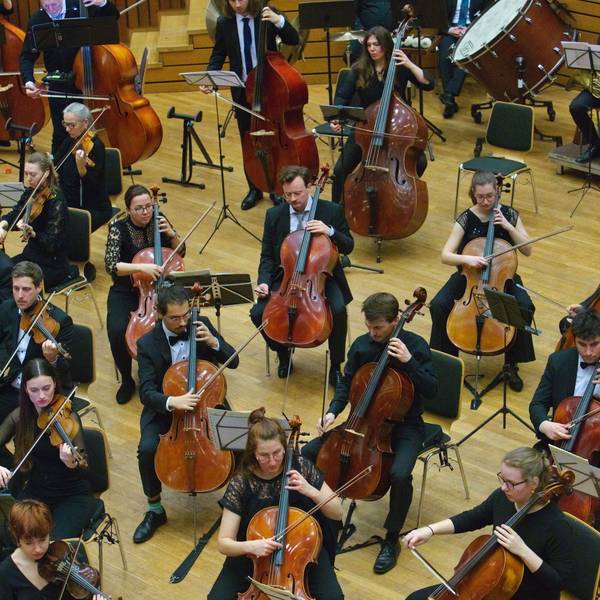 Streichmusiker im Konzert.