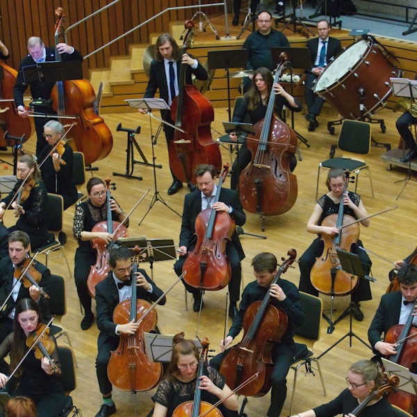Streichmusiker im Konzert.