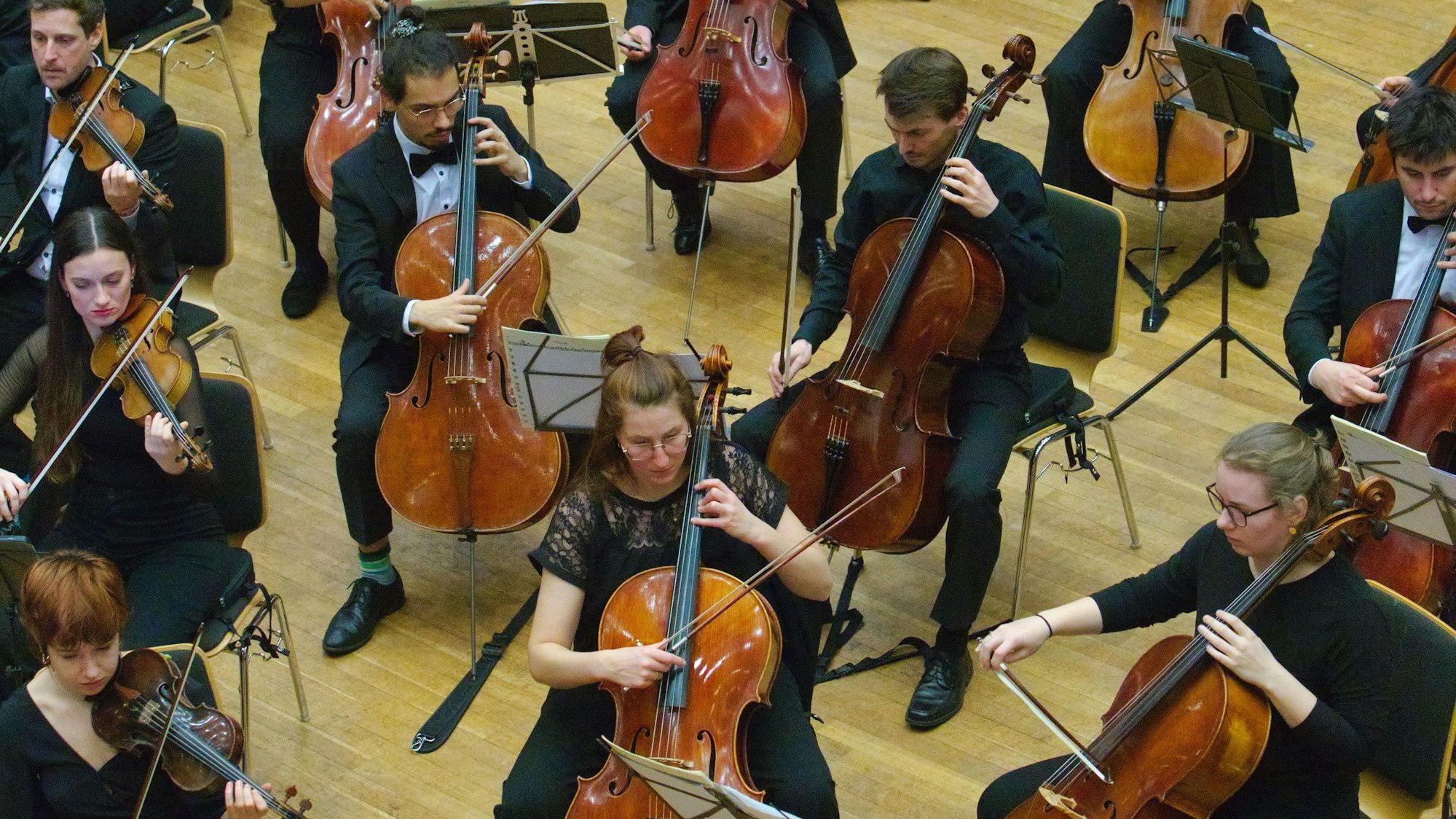 Streichmusiker im Konzert.