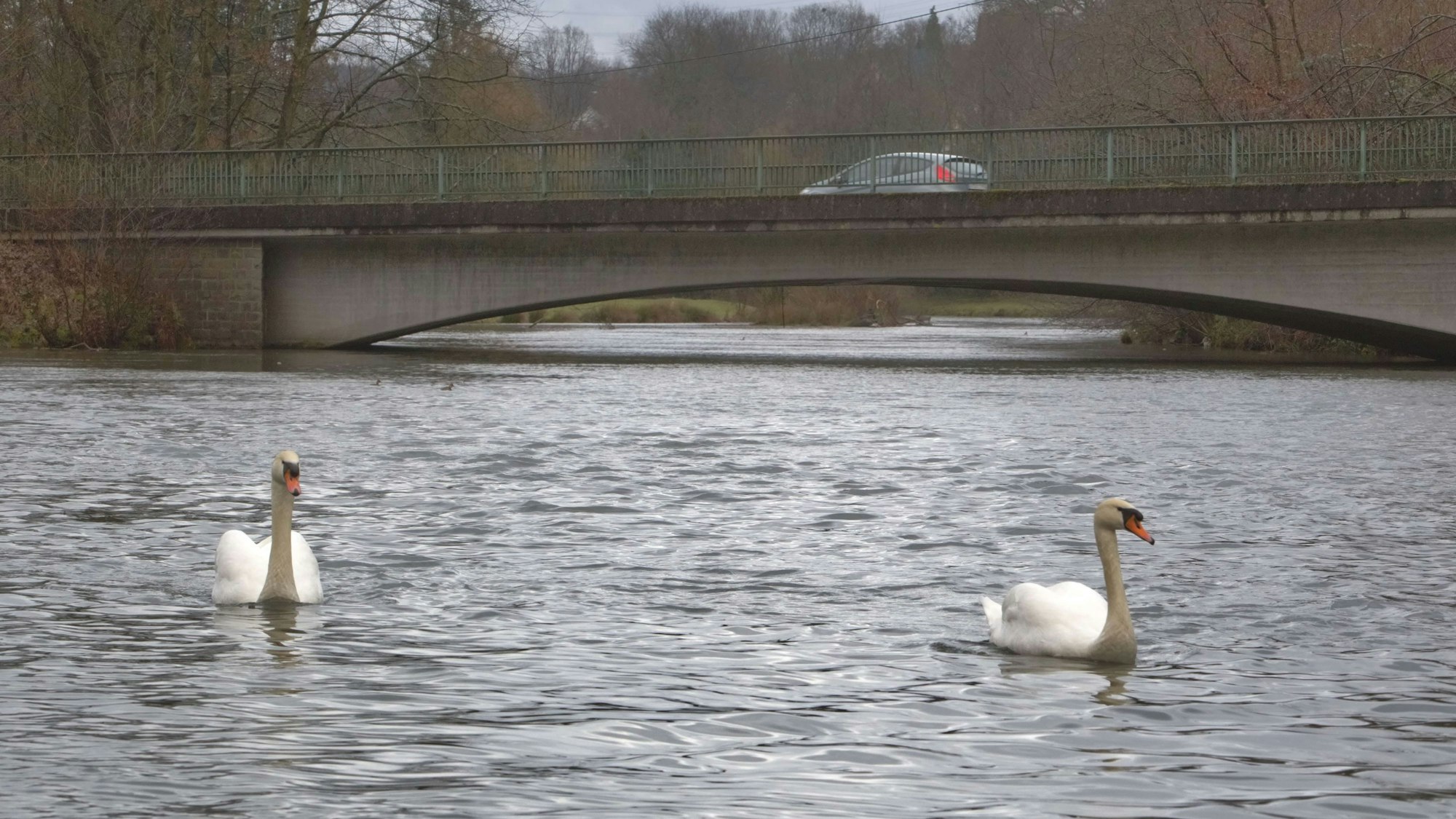 Die Agger bei Brunohl.