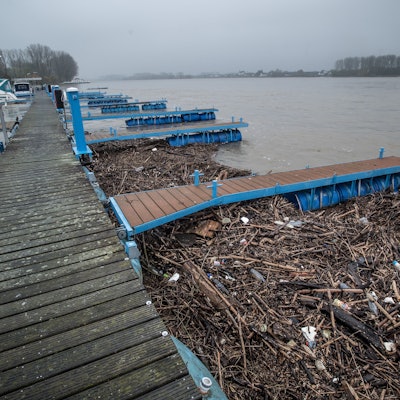 Treibgut ist immer wieder ein Problem für den Fährbetrieb. (Archivfoto)Ralf Krieger