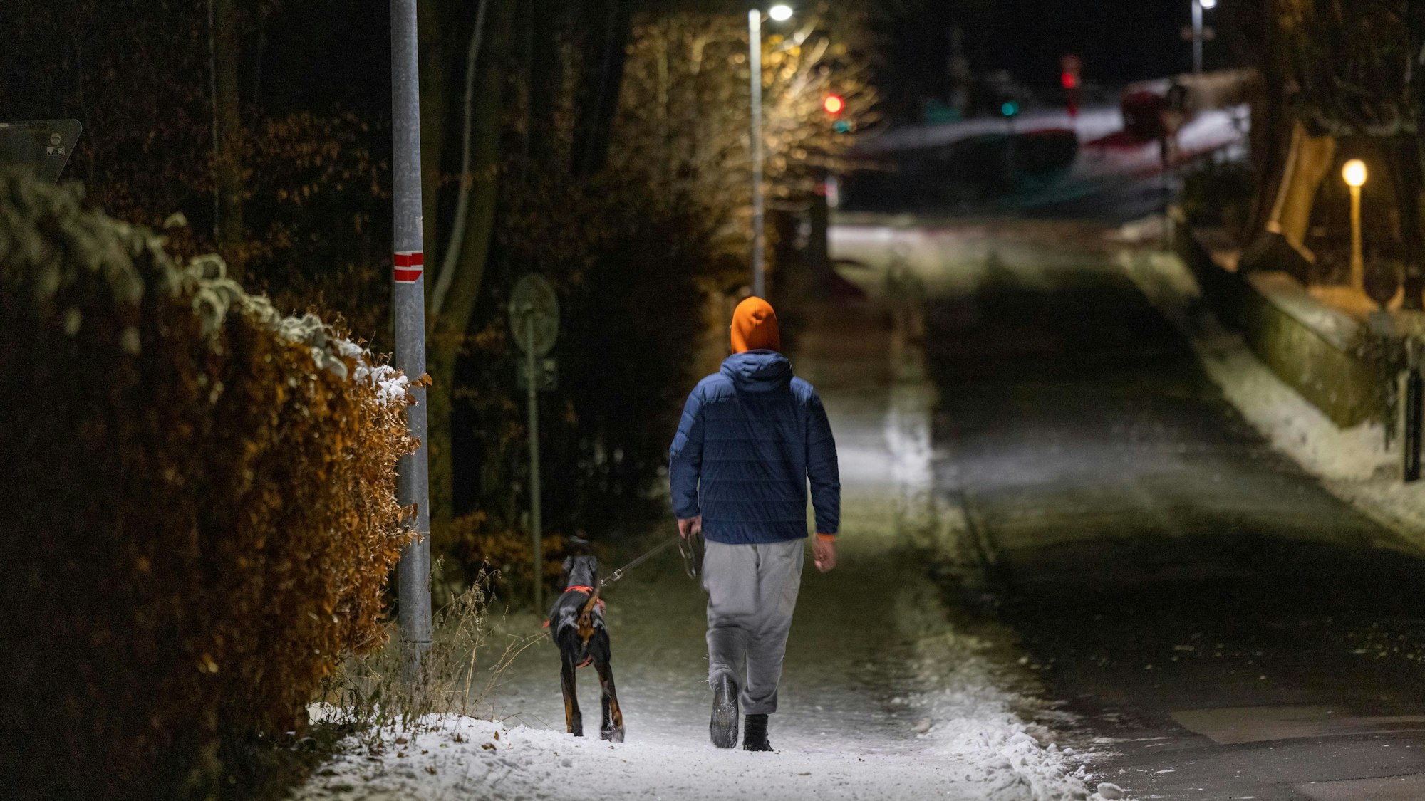 Ein Spaziergänger ist mit einem Hund an der Leine unterwegs. Sie laufen an einer Laterne vorbei.